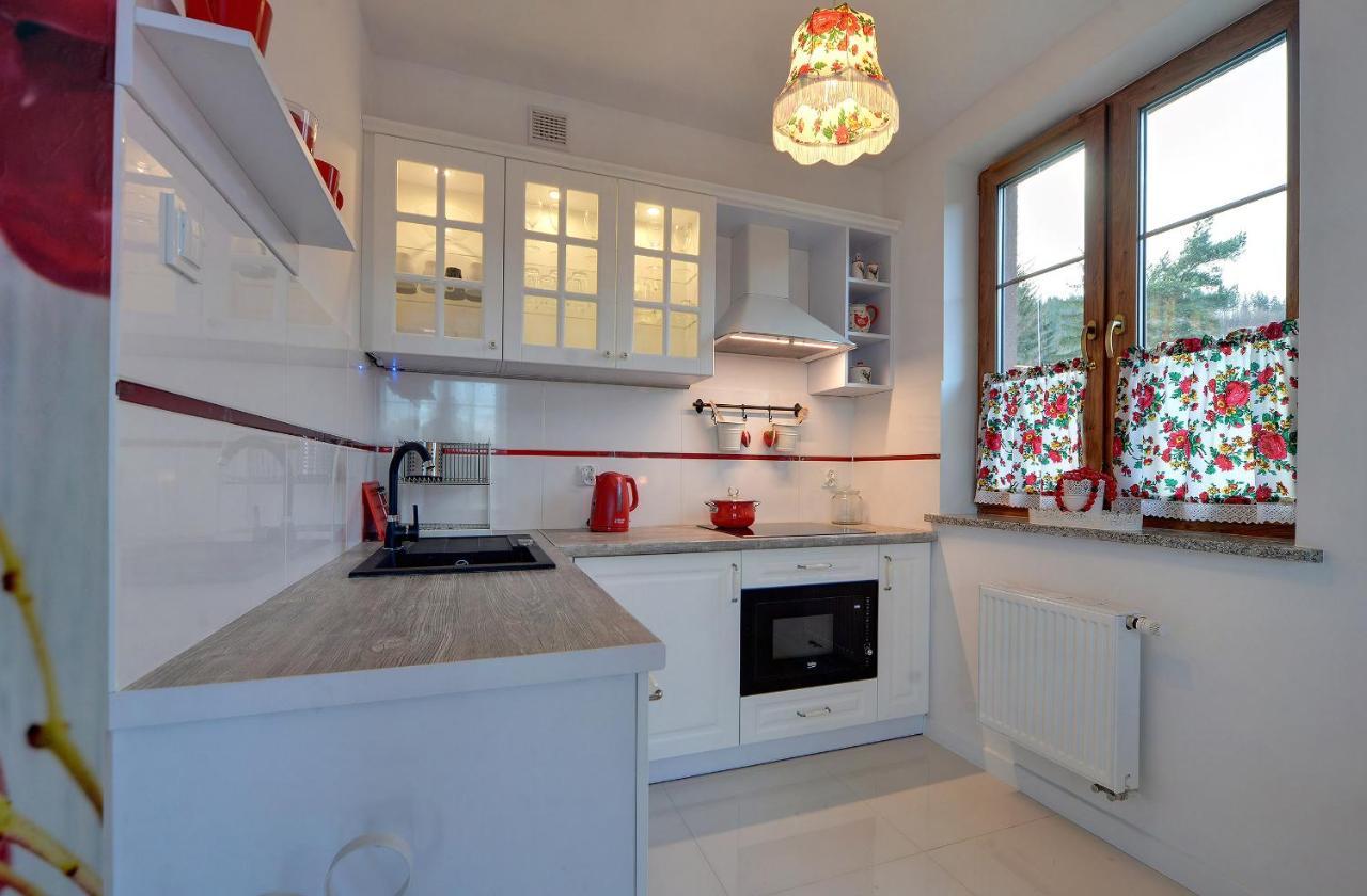 Apartamenty Sun & Ski Willa Nad Strumieniem Nadrzeczna 3D I 3E - Centrum 300M カルパッチ エクステリア 写真