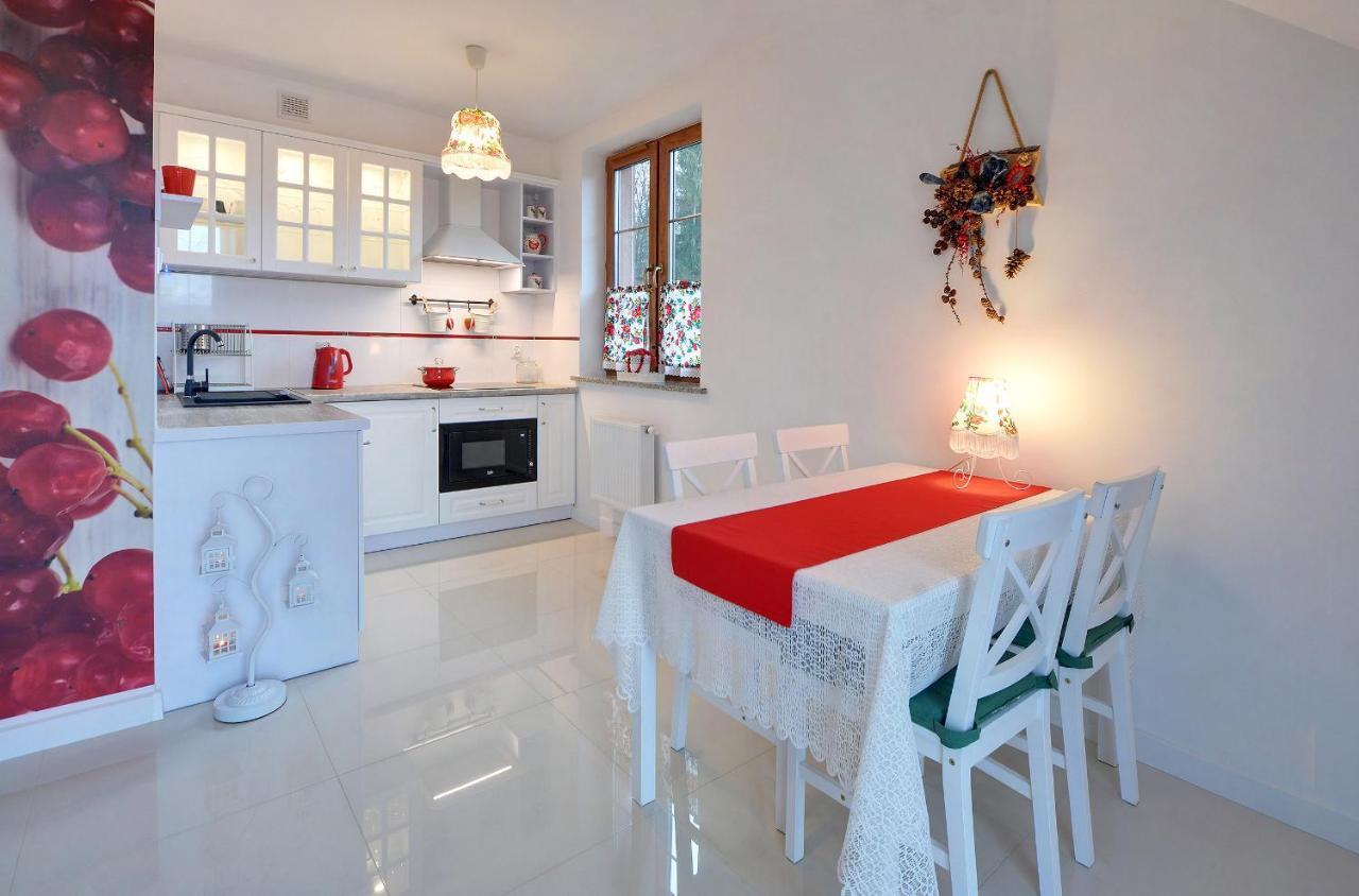 Apartamenty Sun & Ski Willa Nad Strumieniem Nadrzeczna 3D I 3E - Centrum 300M カルパッチ エクステリア 写真