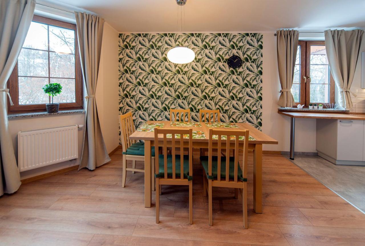 Apartamenty Sun & Ski Willa Nad Strumieniem Nadrzeczna 3D I 3E - Centrum 300M カルパッチ エクステリア 写真